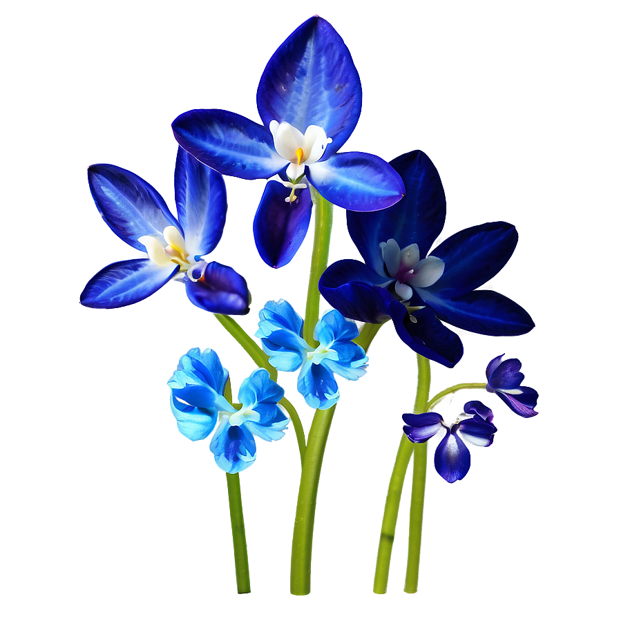 Blue Spring Flower Png Bqm