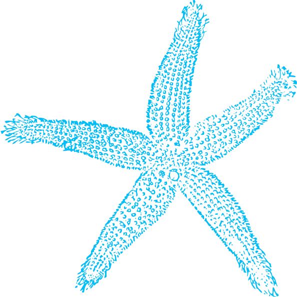 Blue Starfish Clipart Graphic