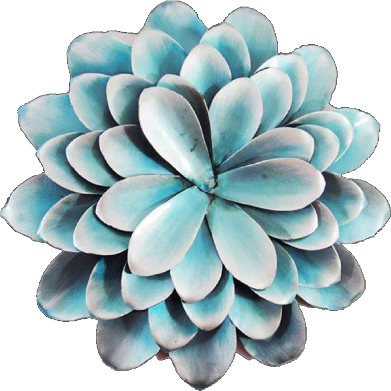 Blue Succulent Plant