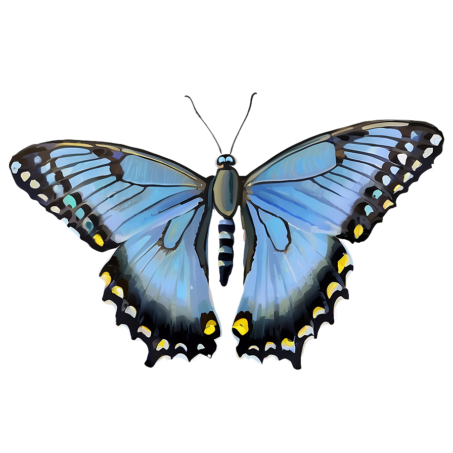 Blue Swallowtail Butterfly Png 13