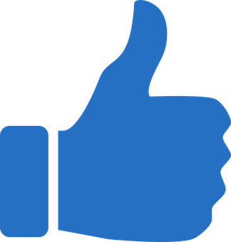 Blue Thumbs Up Icon