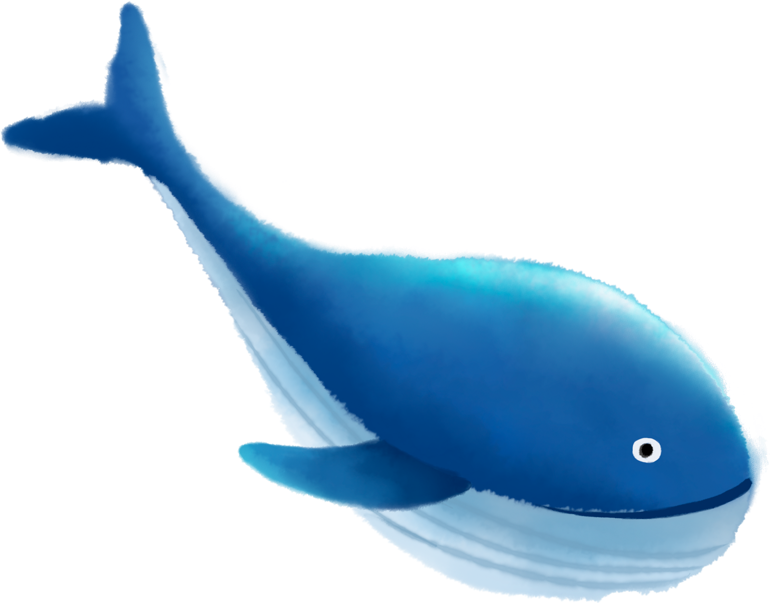 Blue Whale Cartoon Illustration