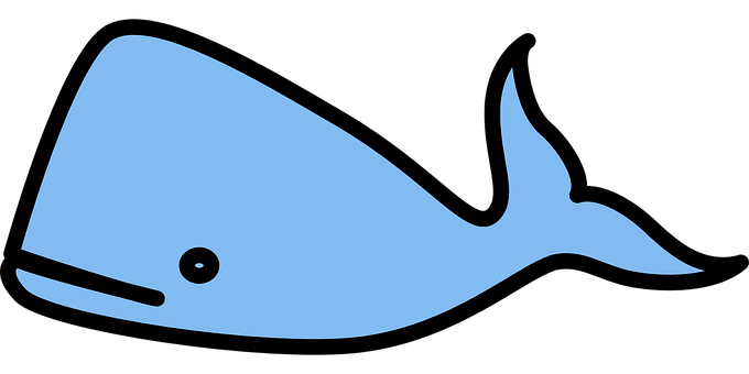 Blue Whale Vector Illustration