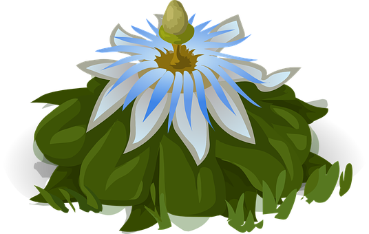 Blue White Flower Illustration