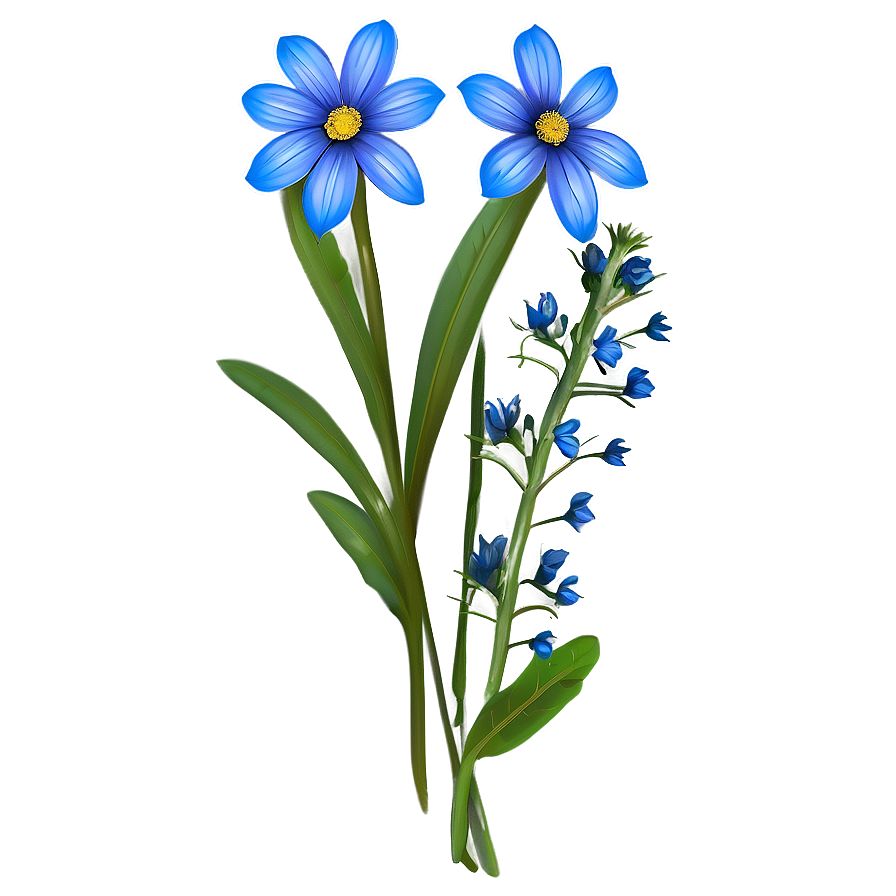 Blue Wildflower Png Brp