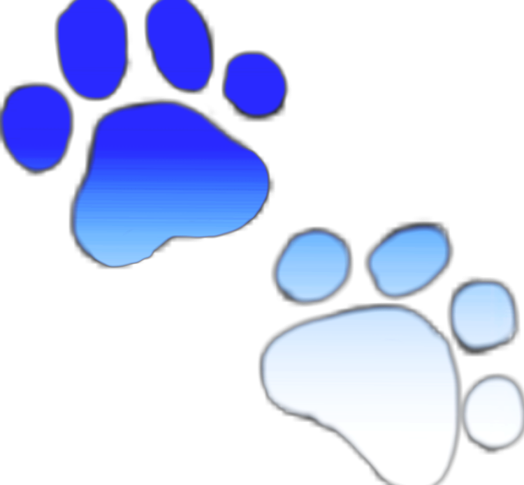 Blueand White Paw Prints