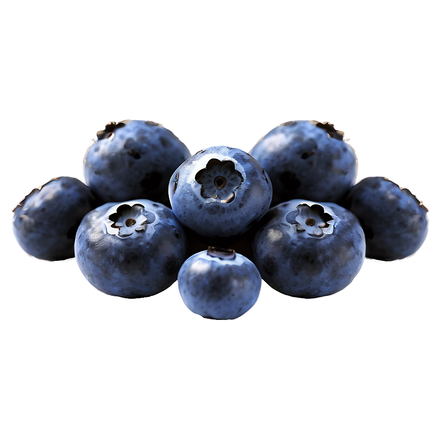 Blueberries In Sunlight Png 05242024