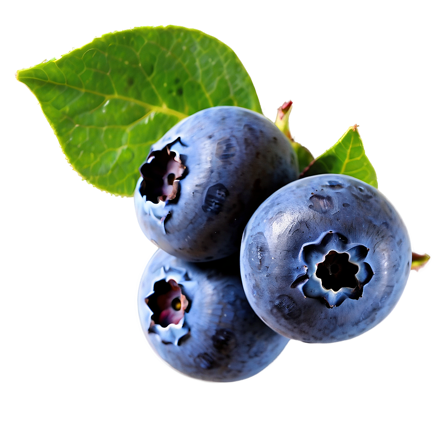 Blueberries On White Png 44