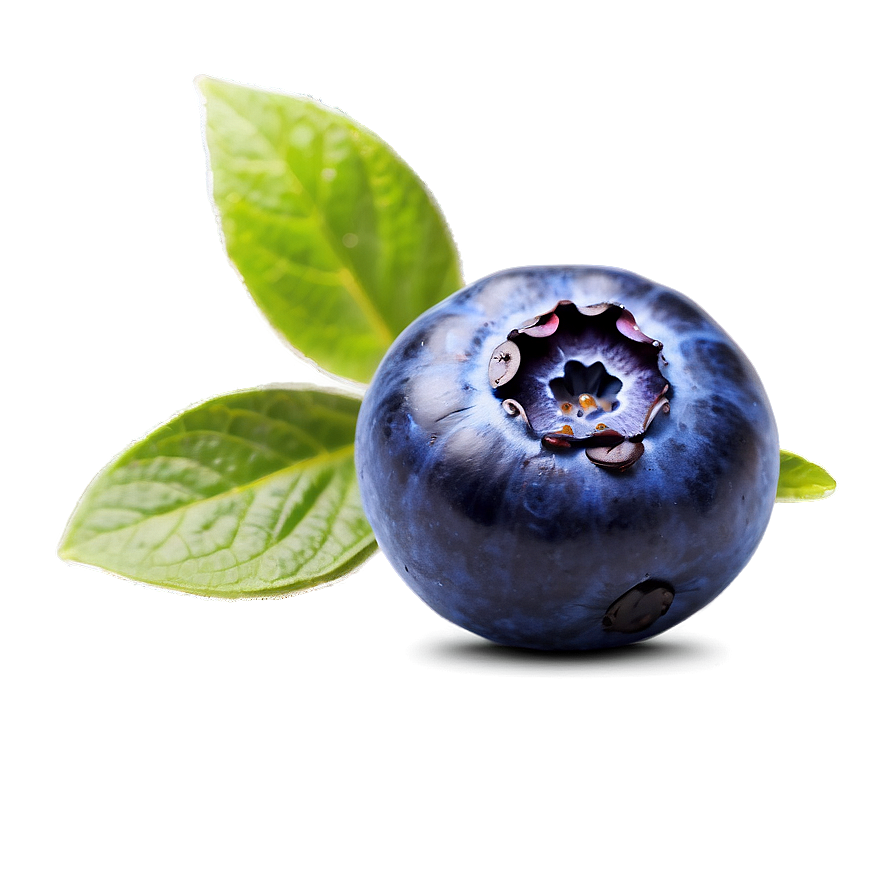 Blueberry Beverage Accent Png 05212024