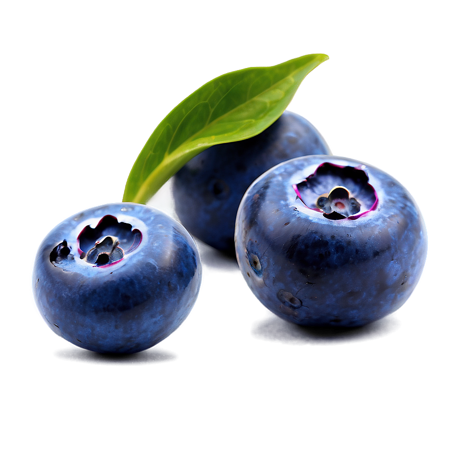 Blueberry Culinary Art Png 8