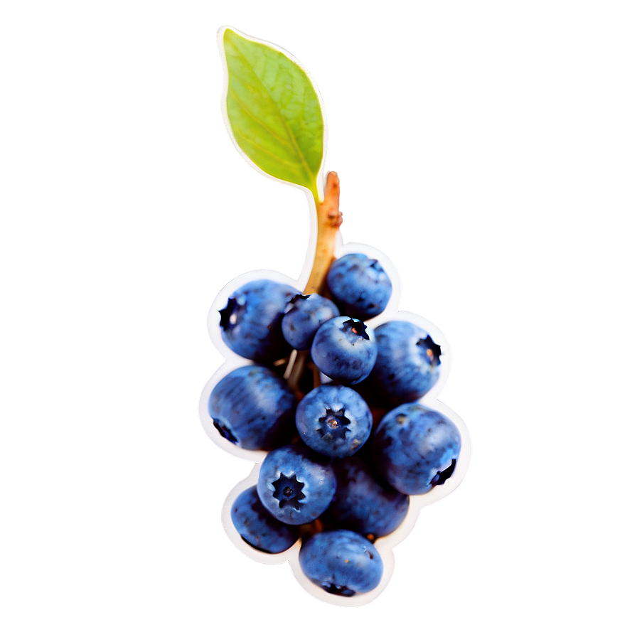 Blueberry Drop Png 76