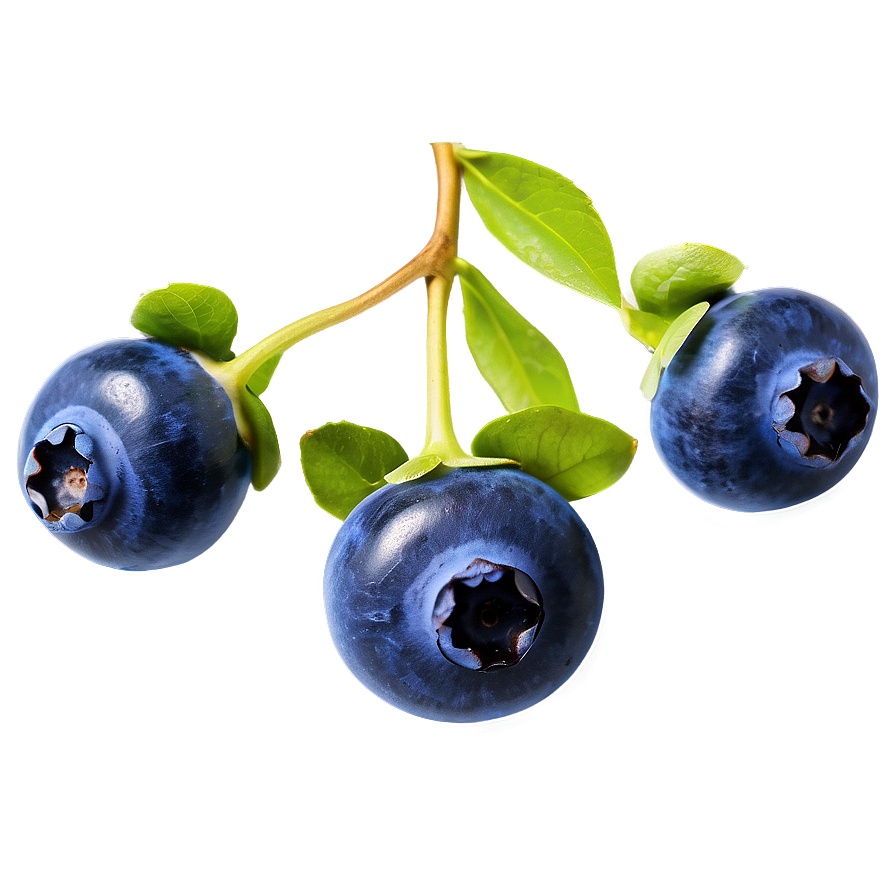 Blueberry Drop Png Lwq96