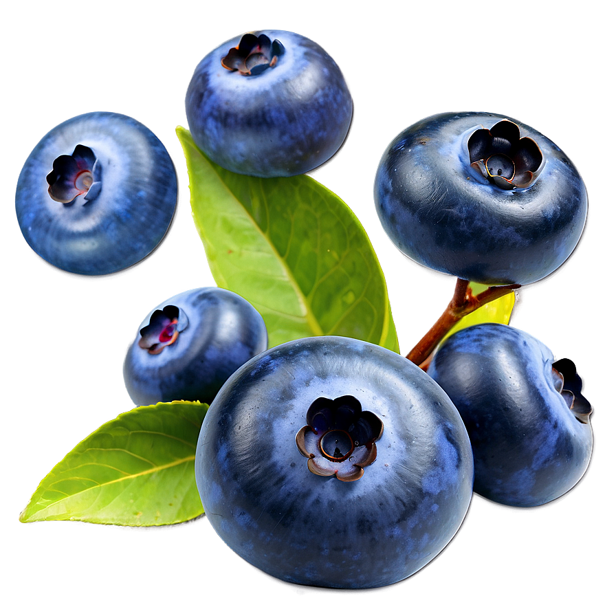 Blueberry Drop Png Pwy