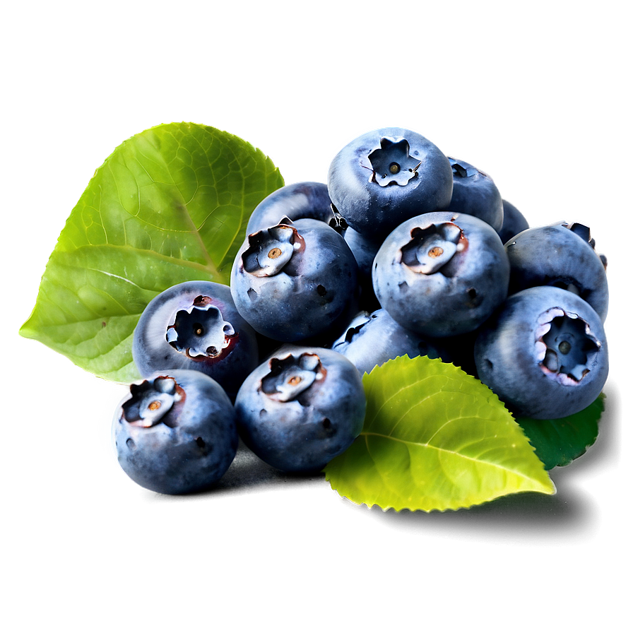 Blueberry Field Png 05242024
