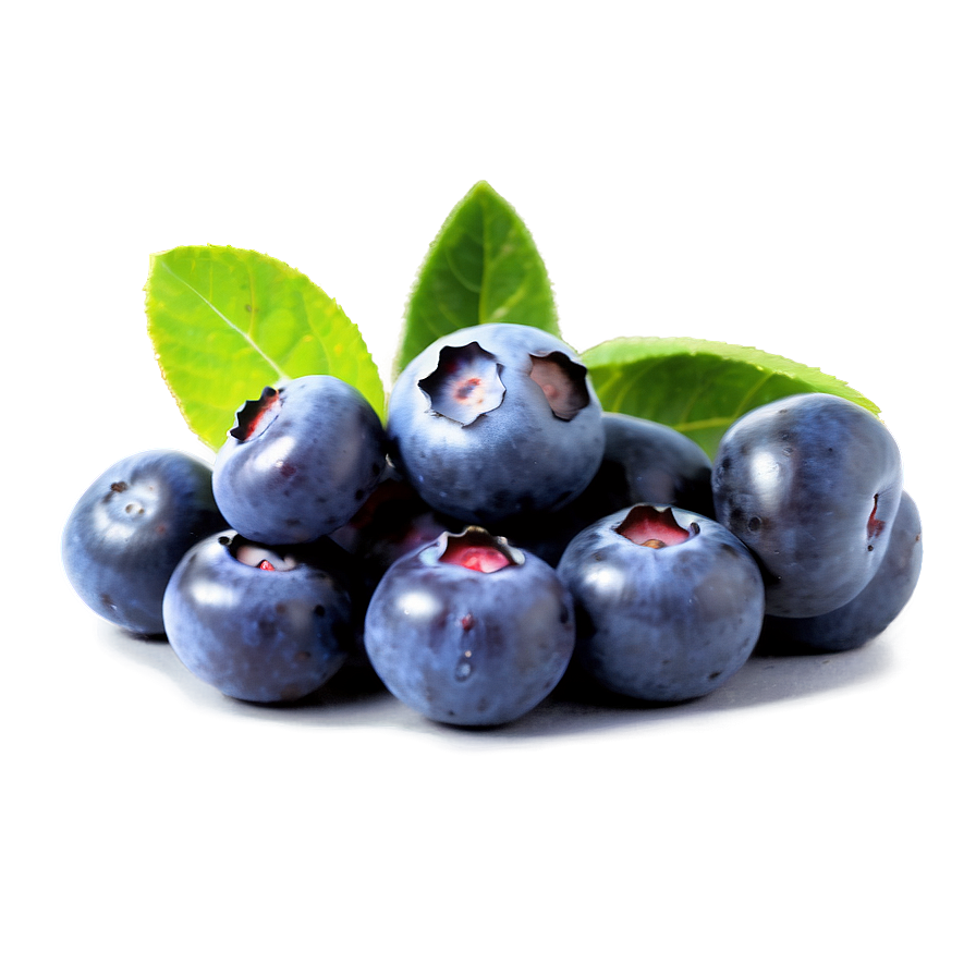 Blueberry Field Png 15