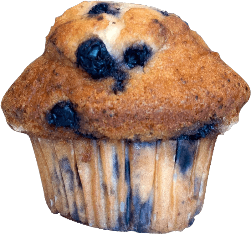 Blueberry Muffin Closeup