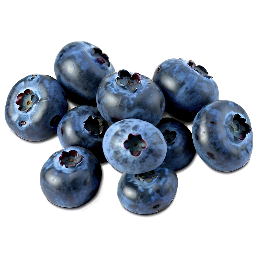 Blueberry Photography Png Tev17