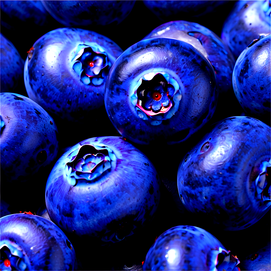 Blueberry Pile Png Dyr33