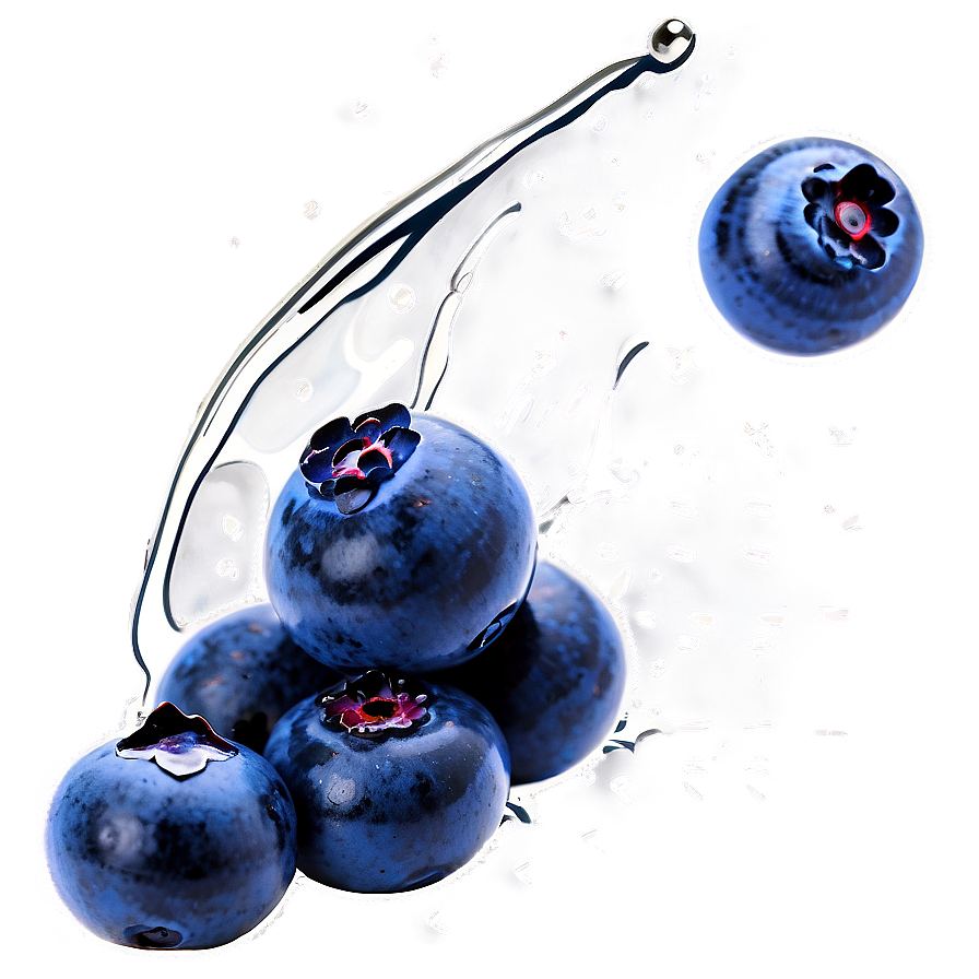 Blueberry Splash Png Qsu