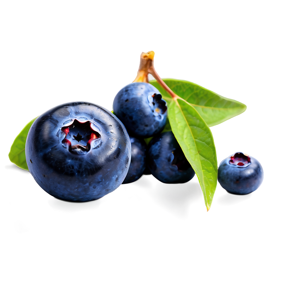 Blueberry Top View Png 05242024