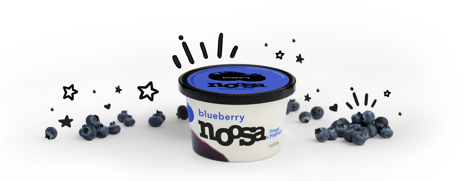 Blueberry Yogurt Containerand Fresh Blueberries