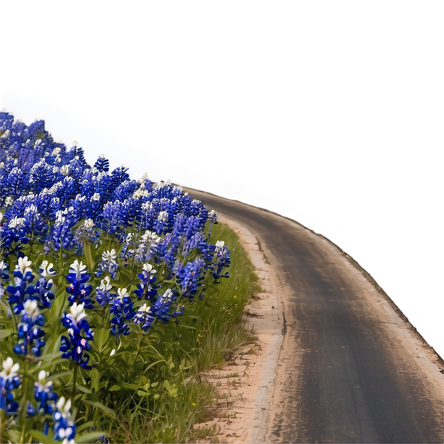 Bluebonnet Country Road Png Xdu