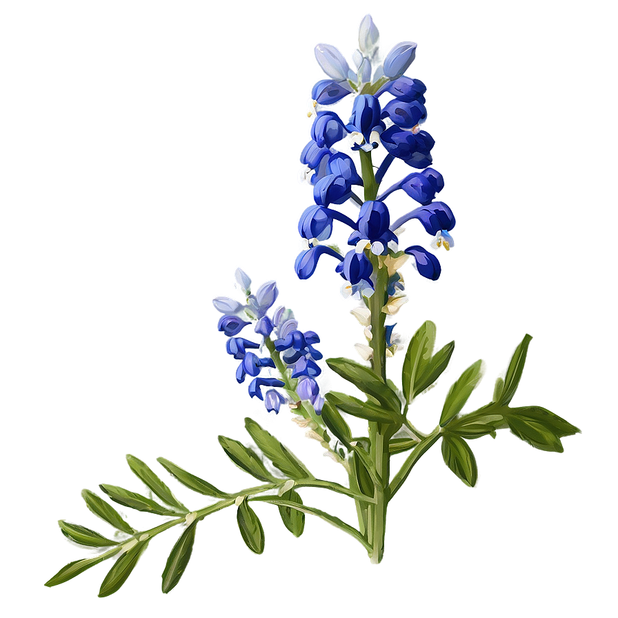 Bluebonnet Floral Pattern Png Jhs