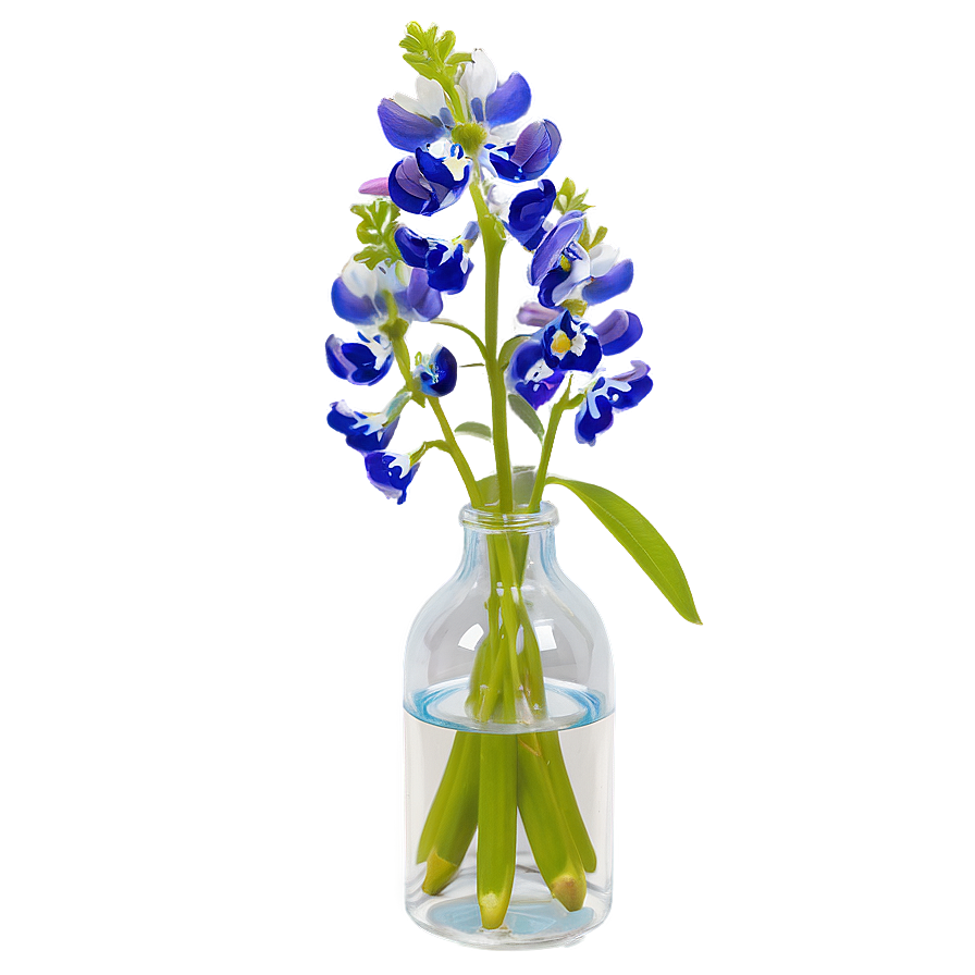 Bluebonnet In A Vase Png Klw