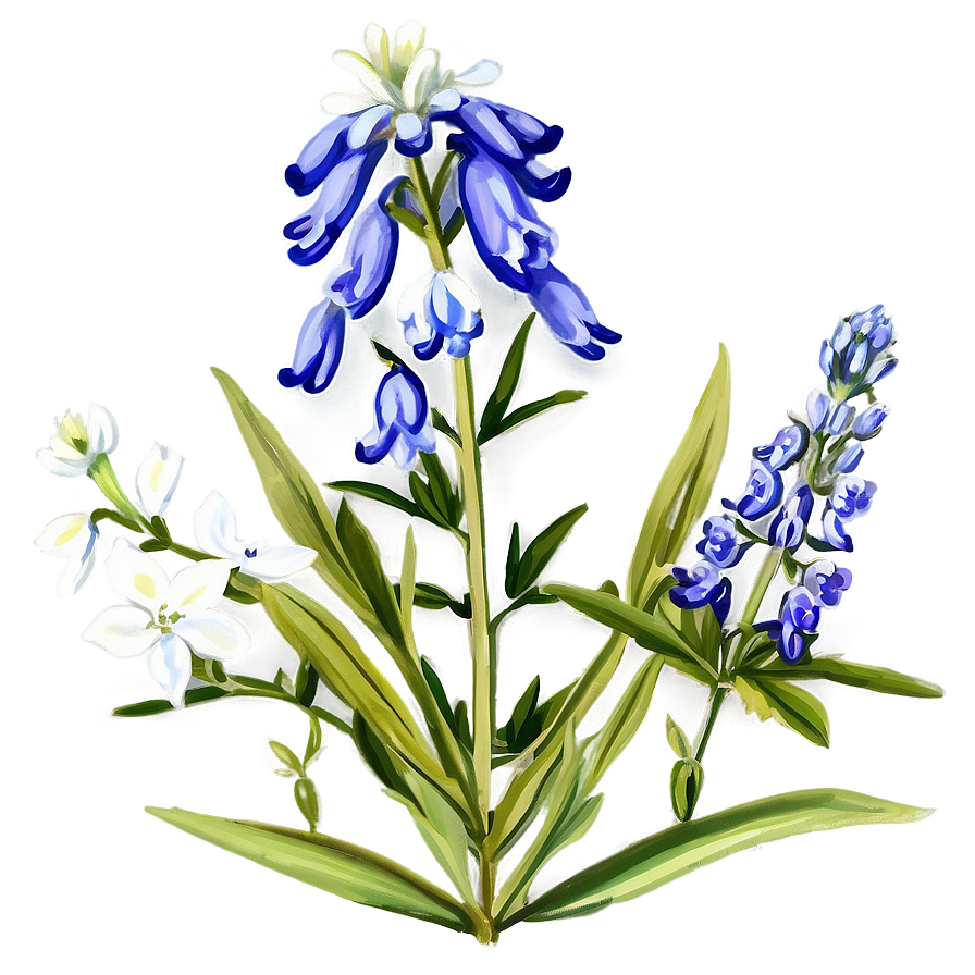 Bluebonnet Vintage Print Png 13