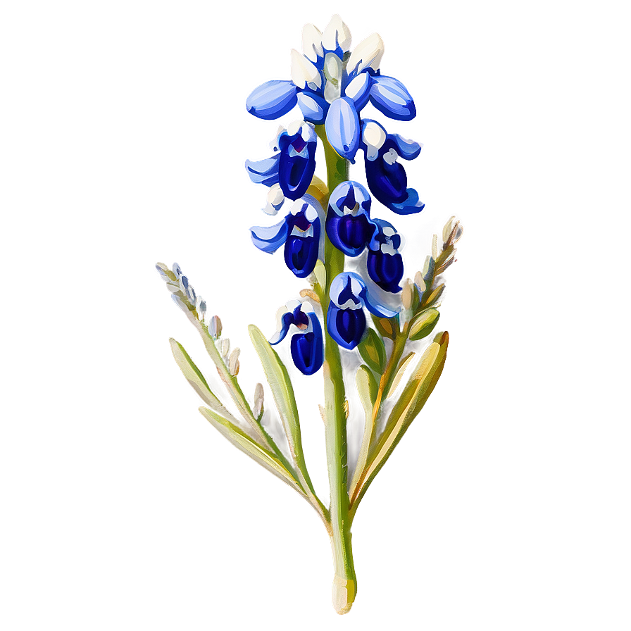 Bluebonnet Vintage Print Png 47