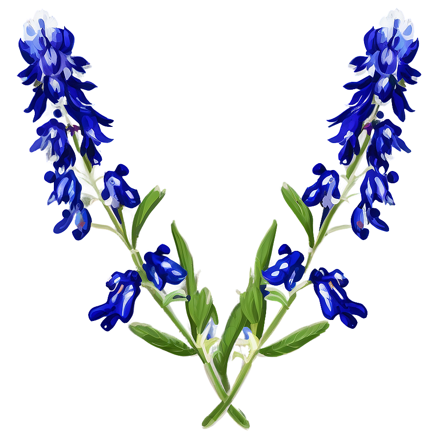 Bluebonnet Vintage Print Png Sge