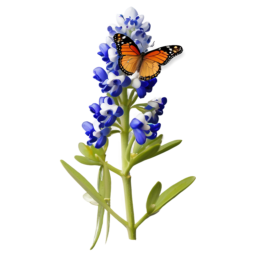 Bluebonnet With Butterfly Png Agx61