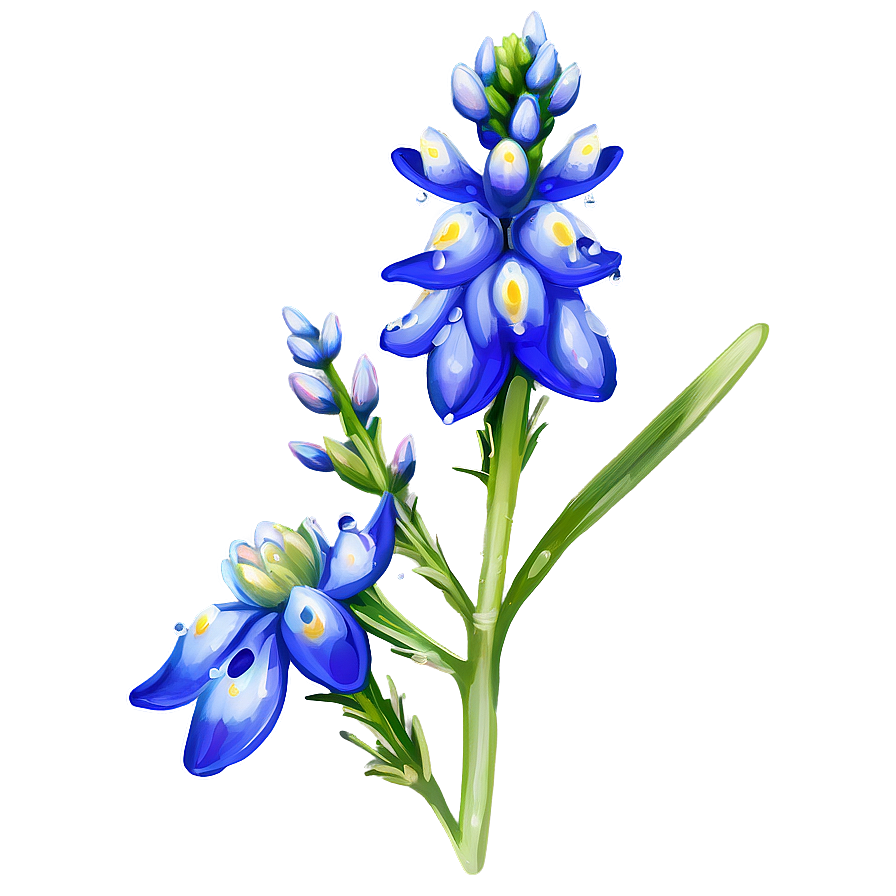 Bluebonnet With Dew Drops Png Otx36