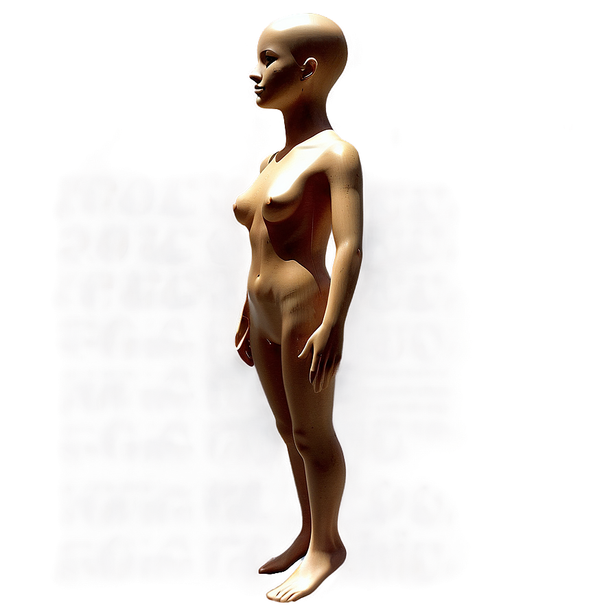 Body Form Mannequin Png Bsj20