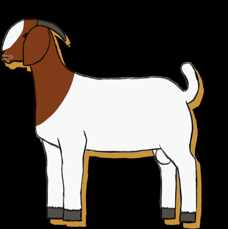 Boer Goat Illustration