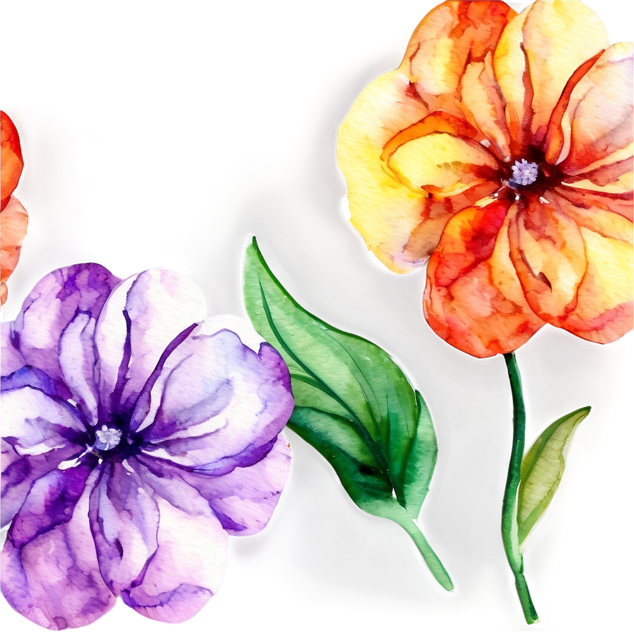 Bold Watercolor Bloom Png Glr