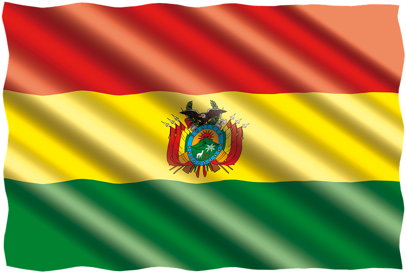 Bolivian Flag Waving