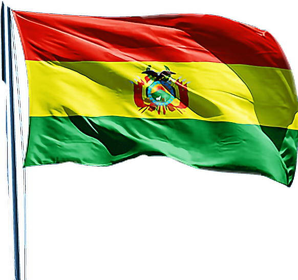 Bolivian Flag Waving