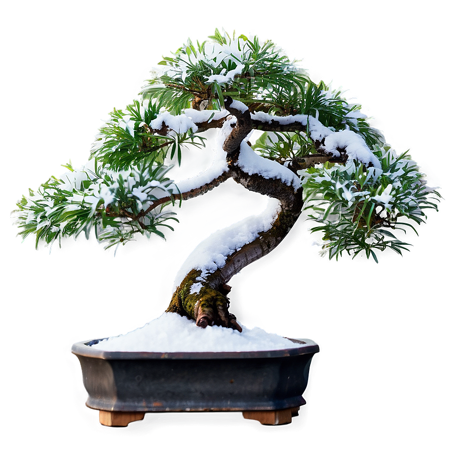 Bonsai Tree In Snow Png Lhw