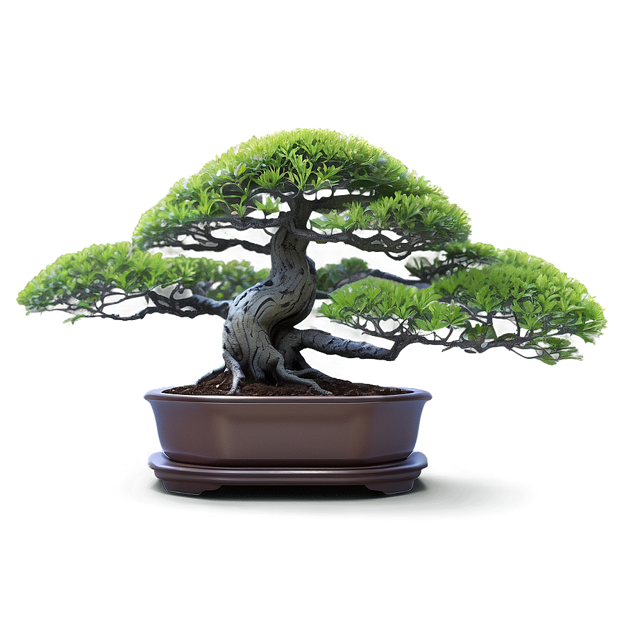 Bonsai Tree Toolkit Png Ocb37