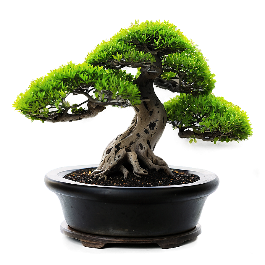 Bonsai Tree With Lanterns Png 24