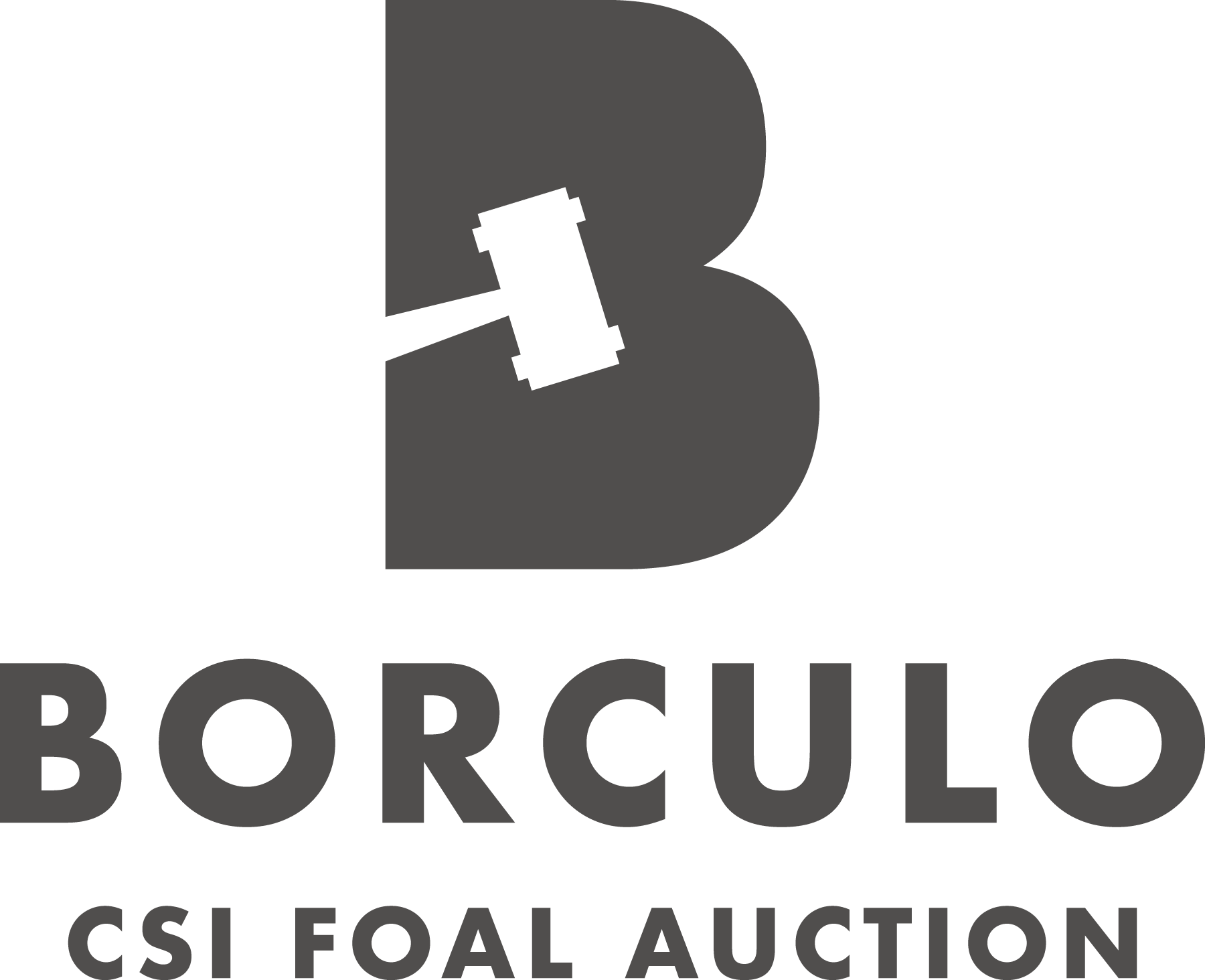 Borculo C S I Foal Auction Logo