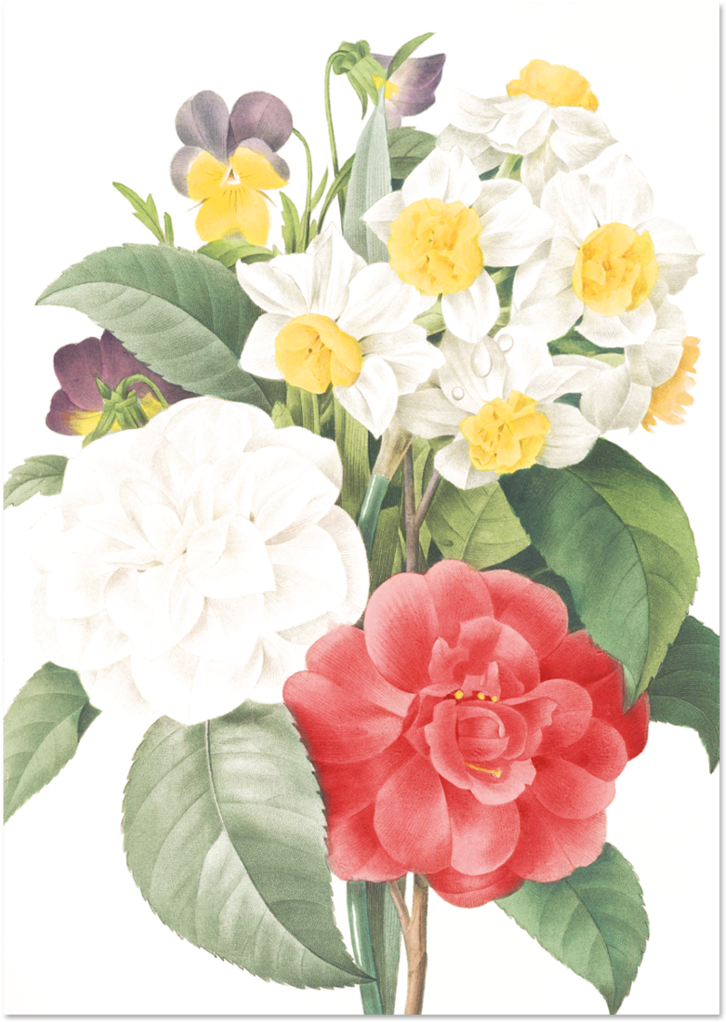 Botanical Illustration Floral Arrangement