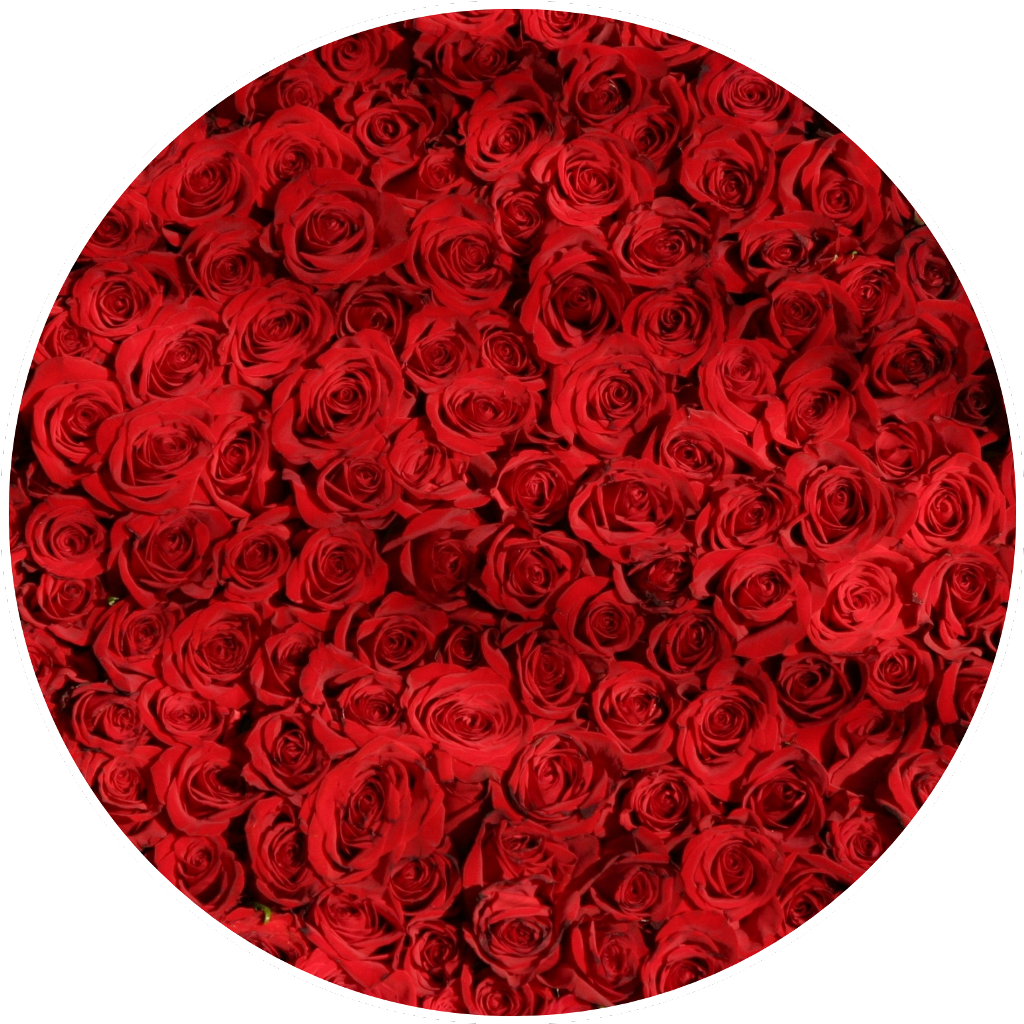 Bountiful Red Roses Circle