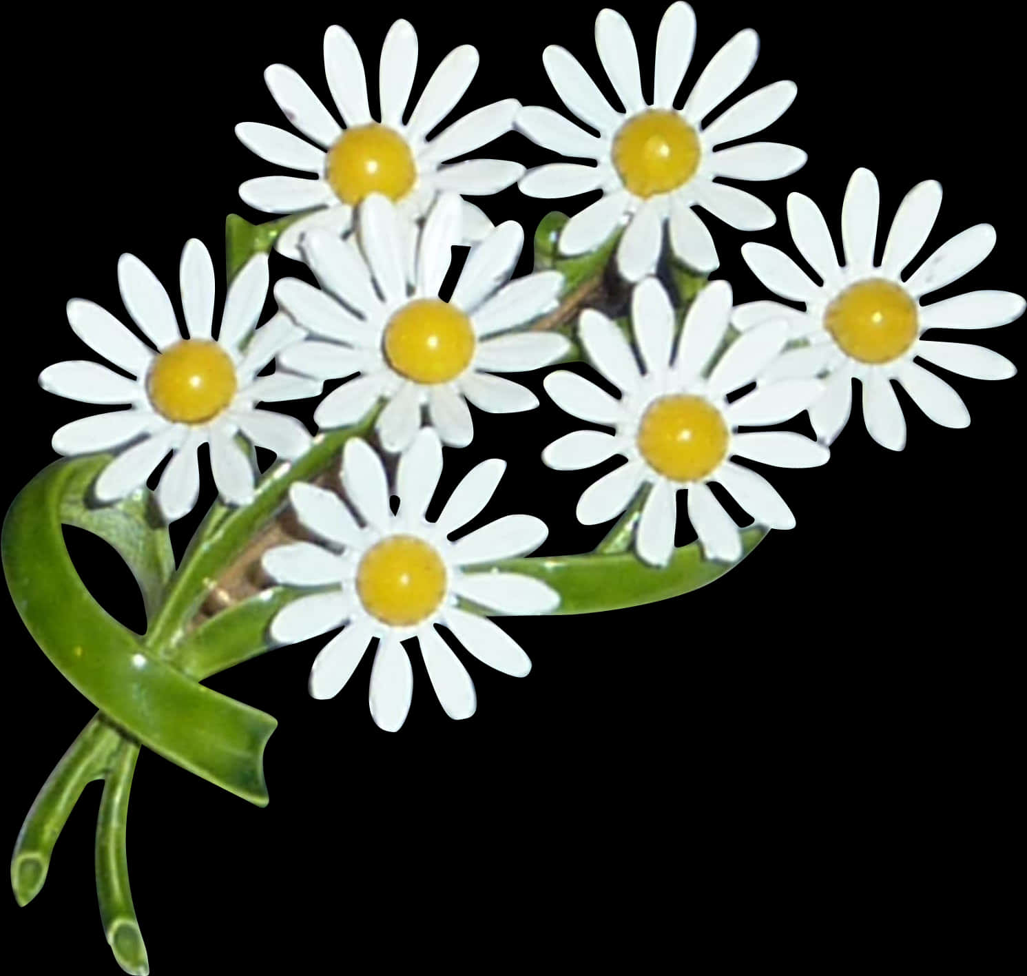 Bouquetof Daisies Black Background