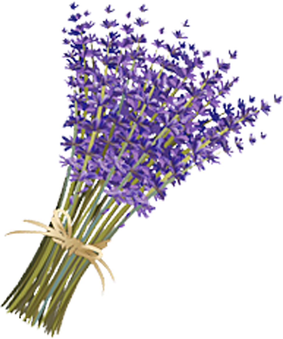 Bouquetof Lavender Flowers