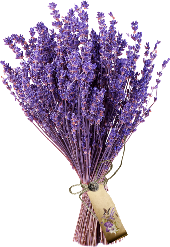 Bouquetof Lavender Flowers.png