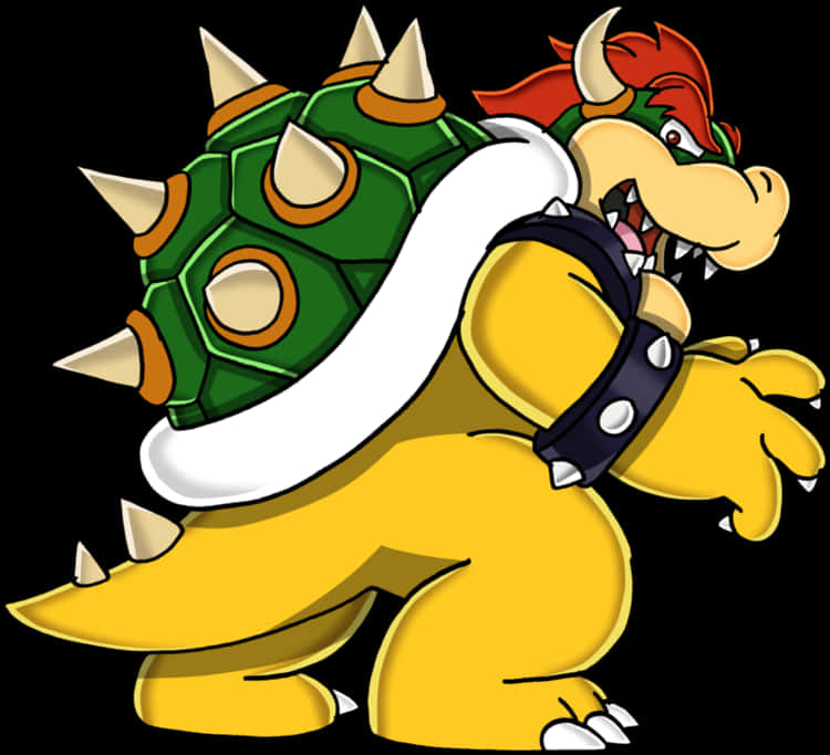 Bowser Kingof Koopas