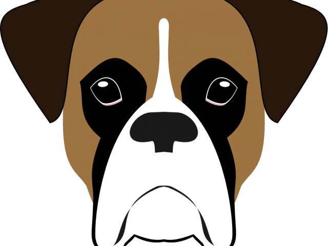 Boxer Dog Vector Portrait