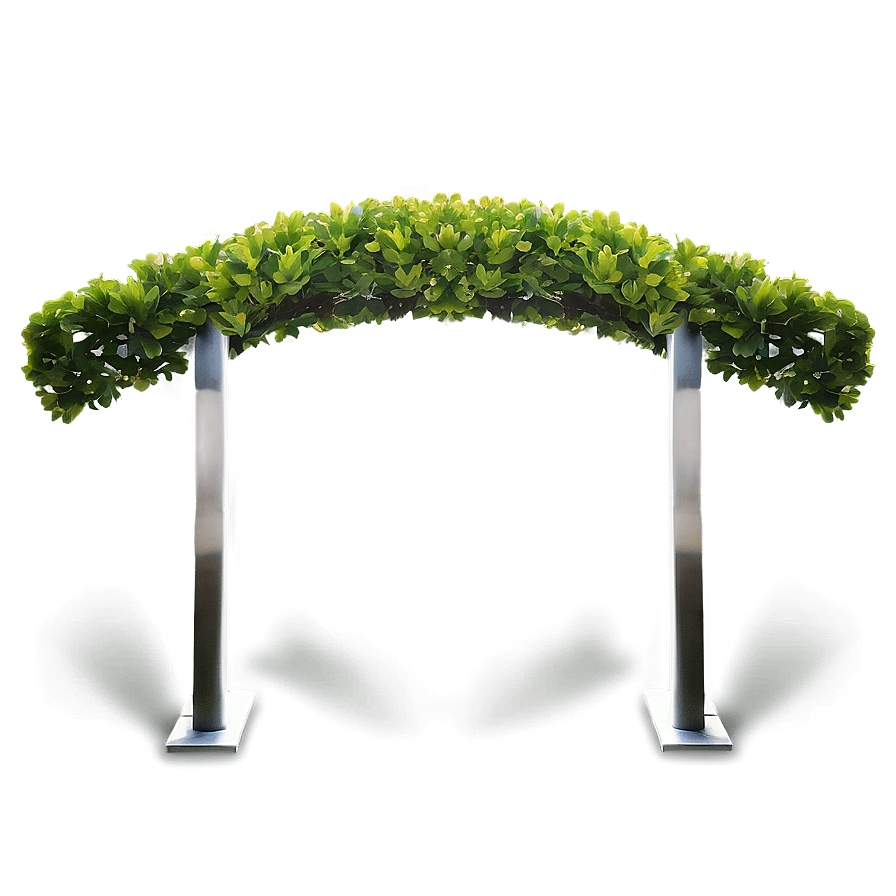 Boxwood Arch Png 06212024